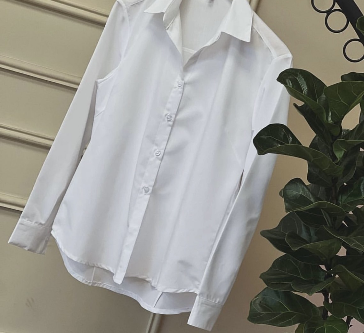 پیش فروش بیسیک قد ۶۵ دور سینه ۱۱۲ تحویل ۸ روزه